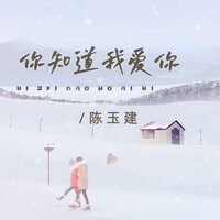 你知道我爱你 - 陈玉建