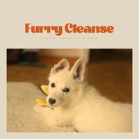 Seashell-Softened Showers - Soothing Dog Sounds
