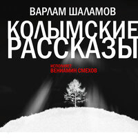 Варлам Шаламов. «Колымские рассказы». Часть 83 - Вениамин Смехов