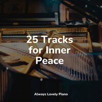 Washed Free - Mozart Lullabies Baby Lullaby & Romantic Piano Music & Restaurant Background Music