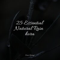Rain in the Jungle - Binaural Beats Brain Waves Isochronic Tones Brainwave Entrainment & White Noise Relaxation & Unforgettable Paradise SPA Music Academy
