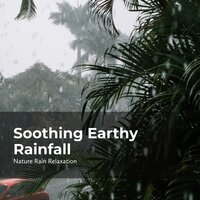 Nature Rain Chill Out - Rain Recorders & Rainfall & Nature Rain Relaxation