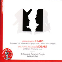 Symphony in C Minor, VB 142: III. Finale. Allegro assai - Orchestra da Camera Di Perugia & Fabio Ciofini