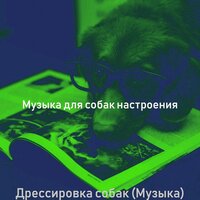 Моменты (Дрессировка собак) - Музыка для собак настроения