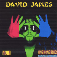 Rollin On Down The Line - David James