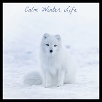 Sleep Voyage - Dog Music & Music for Dog's Ears & Animal and Bird Songs