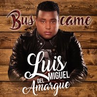 Bala Perdida - luis miguel del amargue