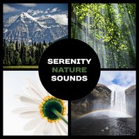 Path of Transformation - Serenity Nature Sounds Academy