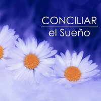 Libre como el Aire - Sueño Lucido