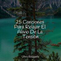 Dormir - Meditacao Clube & Musica para Meditar Especialistas & Sons da Natureza Relax