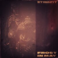 Cerebral Intrusion - Stinkpit