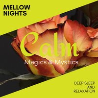 Conscious Evolution - Relaxing Minds