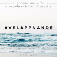 Hjärna Minne - Piano the Autumn Star