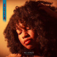 The Seminar - Scienze