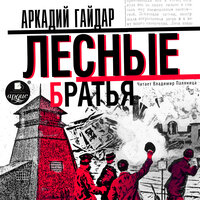 Аркадий Гайдар. «Лесные братья (Давыдовщина)». Часть 3 - Владимир Паляница