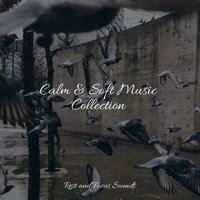Clear and Cool - Relaxing music & Yoga Music & Alpha Brain Waves