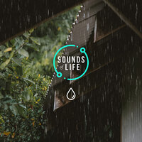 Rain Hitting on Sheet Roof and Dry Ground, Pt. 2 - Sounds Of Life