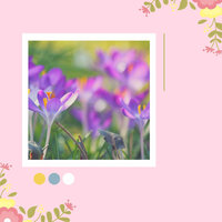 Uplifting (Music) - Day Spa Music