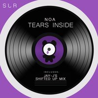 Tears Inside - noa