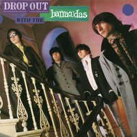 His Last Summer - The Barracudas