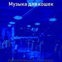 Чувство (Расслабляющий) - Музыка для кошек