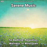 Serene Music, Pt. 44 - Relaxing Music by Darius Alire & Yoga & Relaxing music