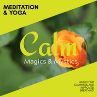 Spiritual Beauty - Meditation Zen Master