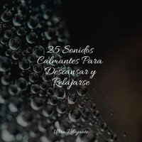 Viaje De Felicidad - Sons da Natureza Relax & Música a Relajarse & Música para Dormir Con Relajantes Sonidos de la Naturaleza
