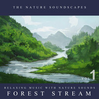 Magical Forest Stream, Pt. 12 - The Nature Soundscapes & Worldwide Nature Studios