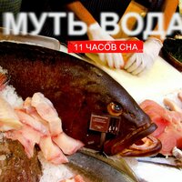 Скрытые ресурсы - 11 Часов сна