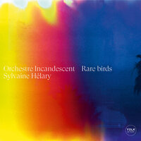 The Road was lit with Moon and star - Sylvaine Hélary & l'Orchestre Incandescent