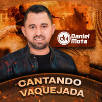 Foi Você - Daniel Mota