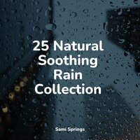 Gentle Campfire - Música Zen Relaxante & Rain & Massage