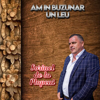 AM MUNCIT SA FAC BANI GREI - SORINEL DE LA PLOPENI