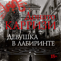 Донато Карризи. «Девушка в лабиринте». Часть 19 - Павел Конышев