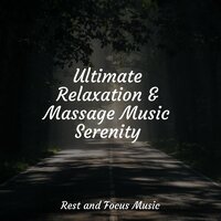 Among the Clouds - Deep Sleep Meditation & Kings of Nature & Academia de Música para Massagem Relaxamento