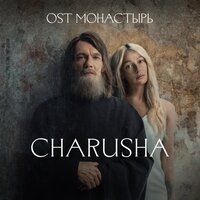 Insane - Charusha
