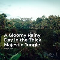 Tropical Forest Jungle - Nature and Rain & Deep Rain Sampling & Jungle Rain