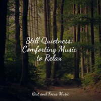 Restful Pauses - Life Sounds Nature & Sleepy Night Music & Meditation & Stress Relief Therapy
