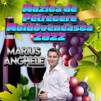 I VAD DOAMNE FERICITI - MARIUS ANGHELE
