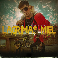 Lágrimas de Miel - Luis Garcia
