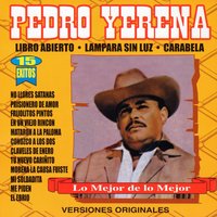 Libro Abierto - Pedro Yerena