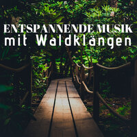 Heitere Stimmung - Meditation Schlafen