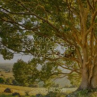 Sueños De Ti - Musica para Dormir Dream House & Dormir e Meditar & Sonidos De La Naturaleza