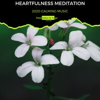 The Meditation Resort - Calm music