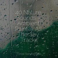 Playful Stream - Relaxation Sleep Meditation & Sonido Del Bosque y Naturaleza & Relaxamento
