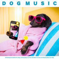 Peaceful Music for My Dog - Dog Music & Music for Dog's Ears & Spa Music For Dogs