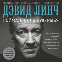 Дэвид Линч. «Поймать большую рыбу: медитация, осознанность и творчество». Часть 22 - Илья Дементьев