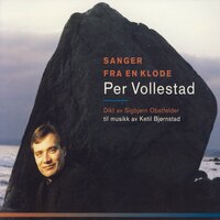 Salme - Per Vollestad