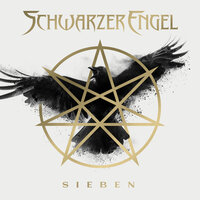 Schönheit - Schwarzer Engel